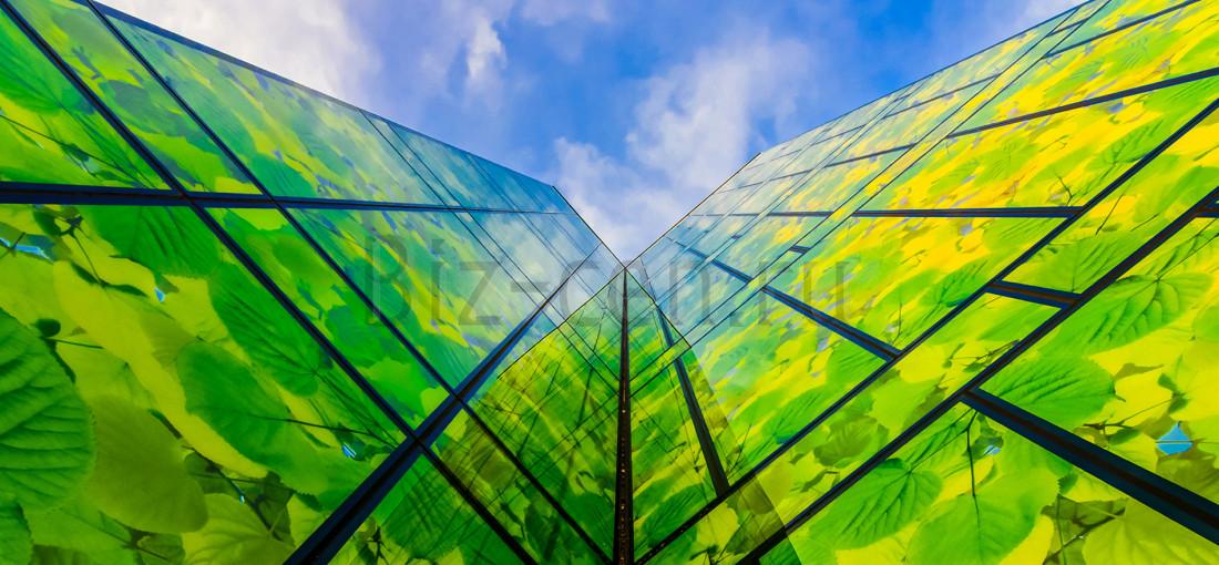 бизнес центр Лето