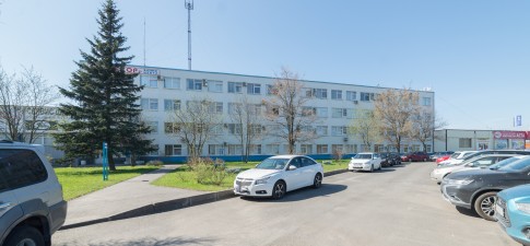 Алексор