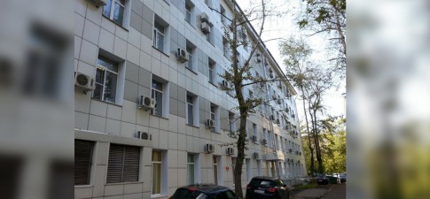 Расплетина 24