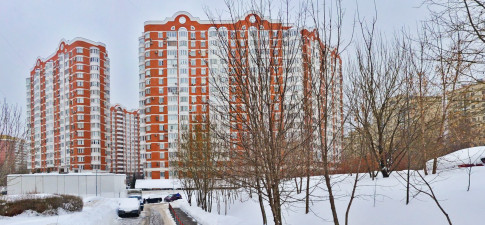 Мичуринский 11